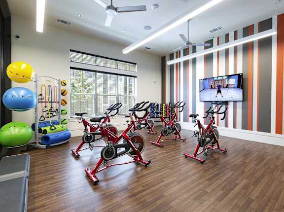 a fitness room with exercise equipment and a tv at North Creek, Hutto, 78634