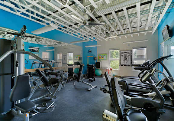A gym with a blue wall and a white ceiling.