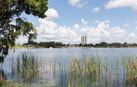 A body of water with a building in the background and trees in the foreground.