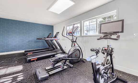 A room with a treadmill, a stationary bike, and a television.