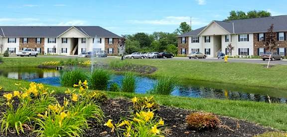 A row of houses with a pond and yellow flowers in the foreground.