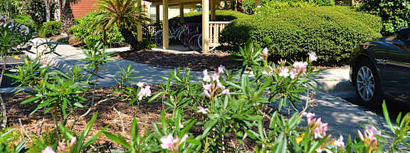 A small building with a porch is surrounded by greenery and flowers.