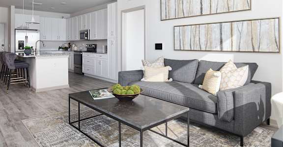 Spacious Living Room at Avli At Crosstown Center Apartments, TAMPA, FL 33619