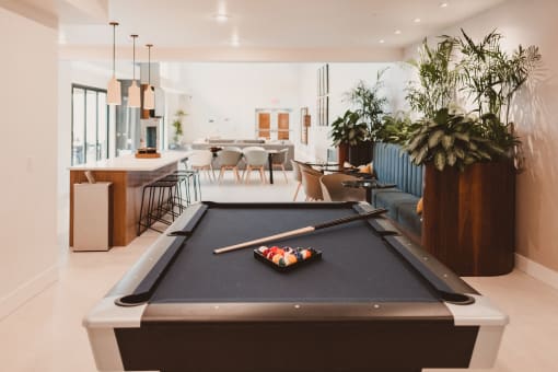 Meetinghouse Clubhouse with Billiards Table