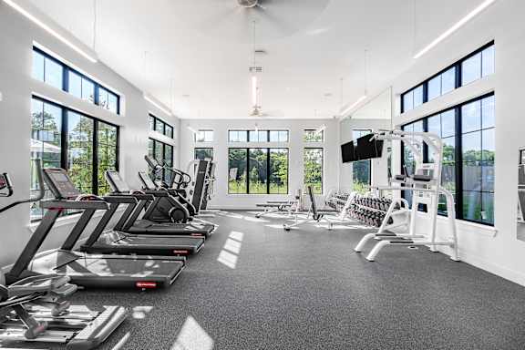 A gym with treadmills, elliptical machines, and a flat screen TV.