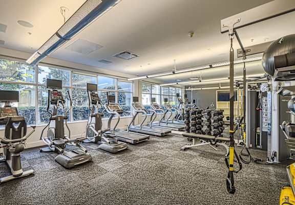 an image of a gym with cardio equipment