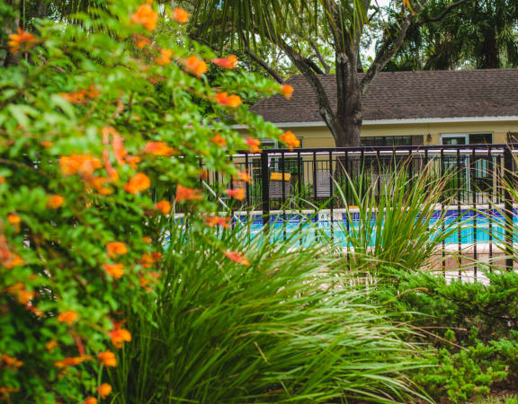 Secured Pool at Fernwood Grove Apartments, Tampa, FL, 33614