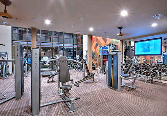 A gym with a variety of equipment including a squat rack, bench press, and a television.