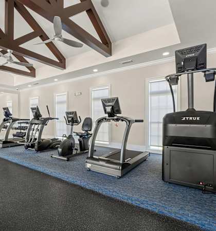 A gym with a row of treadmilers, ellipticals, and a stationary bike.