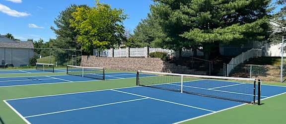 A tennis court with a net and trees in the background.