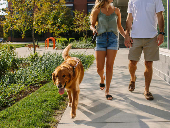 a couple walking their dog on a sidewalk