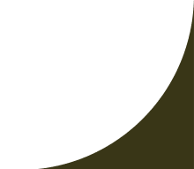 a dark green and black background with a cc logo