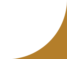 a dark orange and black background with a large moon