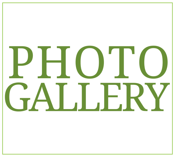 the word photo gallery on a black background with a green font