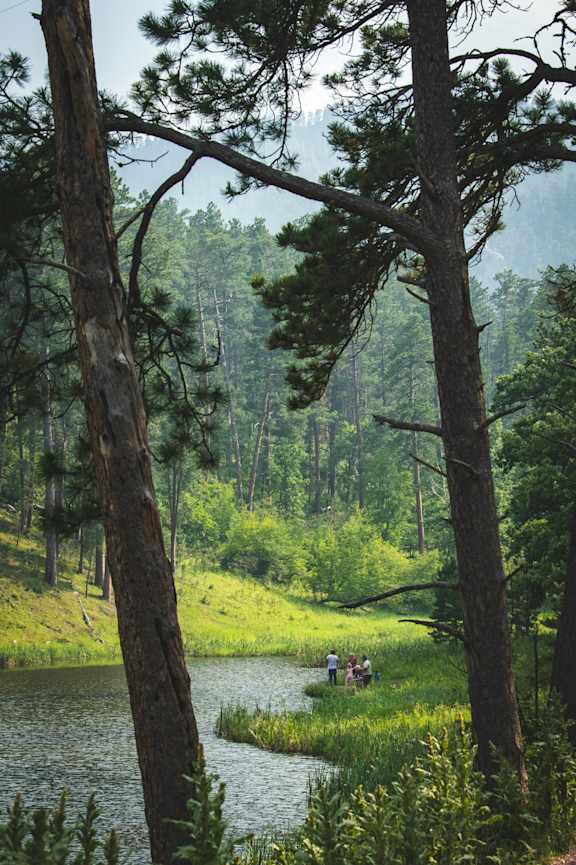 Black Hills National Forest at Red Rock Apartments, South Dakota, 57702