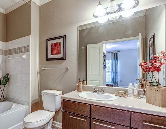 a bathroom with a sink toilet and tub and a mirror