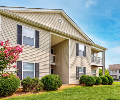 our apartments have a spacious yard with green grass and shrubs