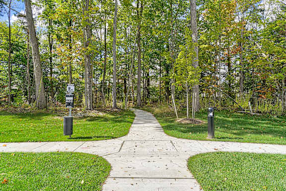A walkway in a park with trees on either side.