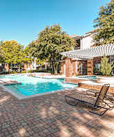 A large swimming pool surrounded by palm trees.