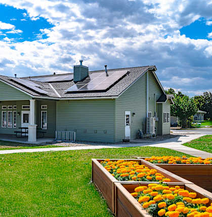 A small building with a green roof and a white door is surrounded by a grassy area with orange flowers.