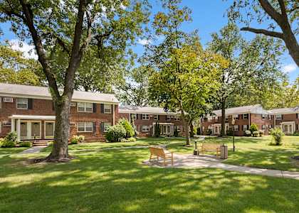 Trees at Lakeview Apartments, Leonia
