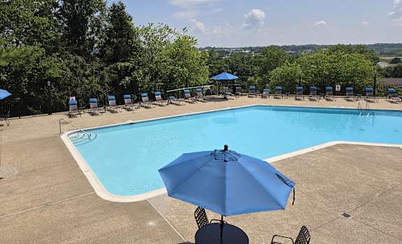 a swimming pool with a blue umbrella and chairs around it