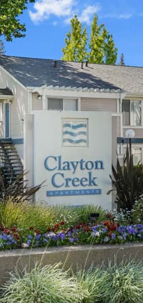 Calming bedroom, Clayton Creek Apartments, Concord, California, 94521
