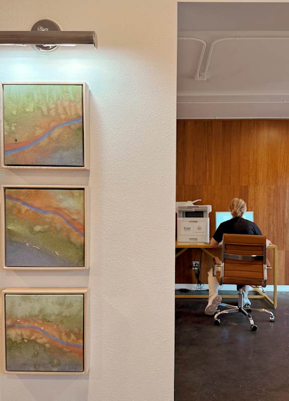Three landscape paintings are hanging on a white wall at The Teale Siesta Lago in Kissimmee, FL, 34746