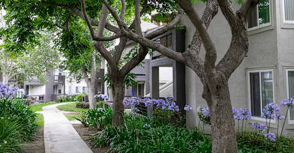 Pathways Throughout Canyon Club Apartments
