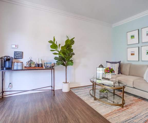 a living room with a couch and a coffee table