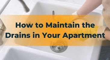 how to maintain the drains in your apartment