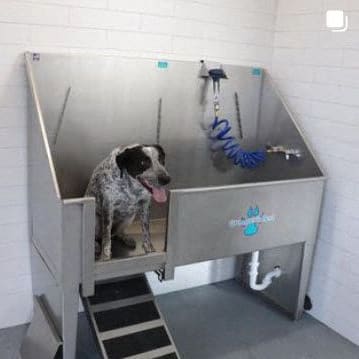 a dog is standing in a stainless steel dog