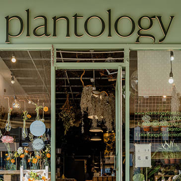 a store front of a flower shop with a sign that reads plantovation