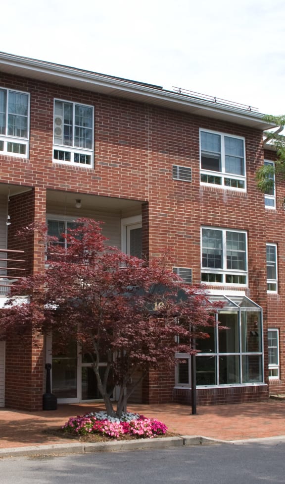 a red brick apartment building with a porch and a tree