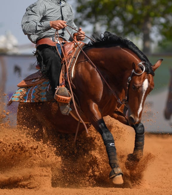 a man riding a horse in the dirt