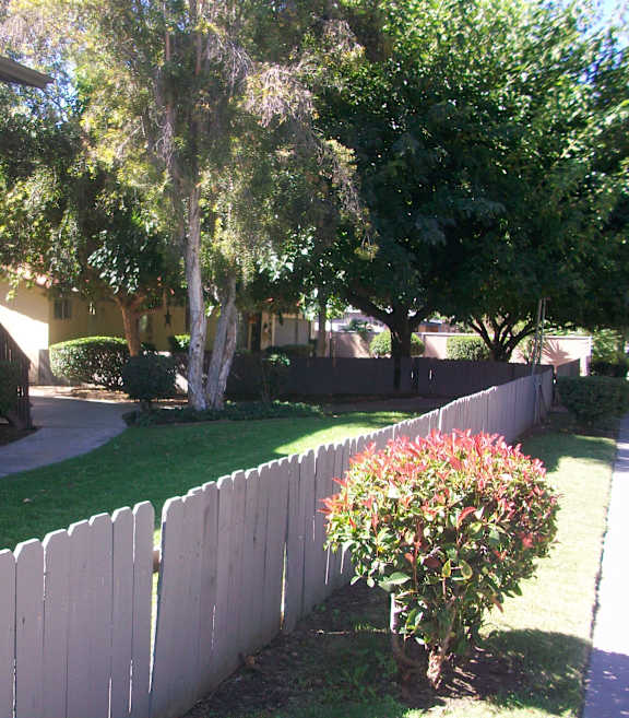 A white picket fence in front of a house with a tree and bushes.