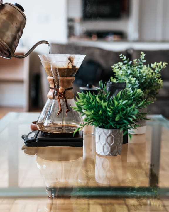 Plant on Table at The Platform Urban Apartments