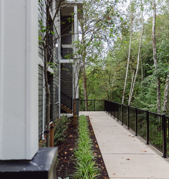 the walkway up to the house is lined with plants and trees
