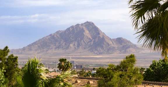 a view of a mountain from a city with palm trees