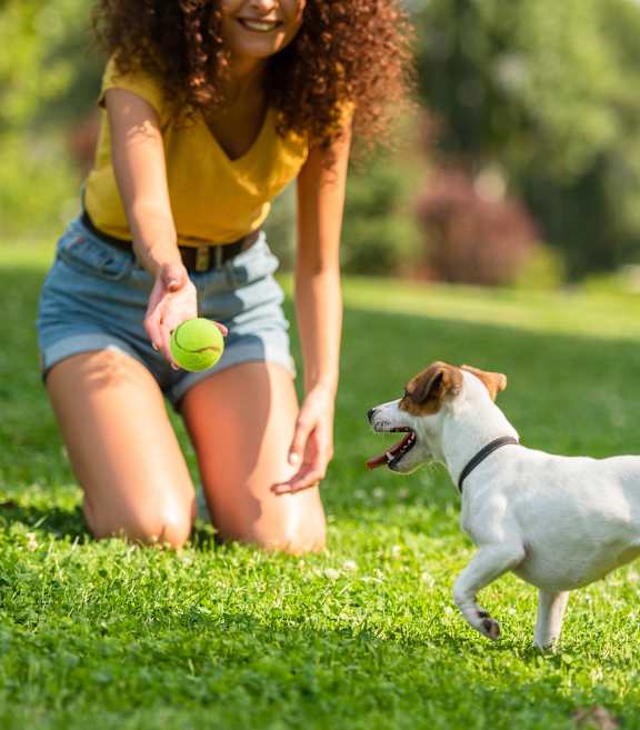 A woman is playing with a dog in a grassy area.