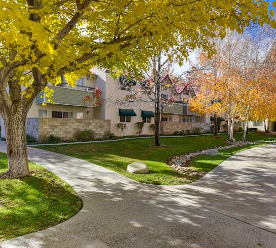 a pathway through a park with trees and buildings in the background