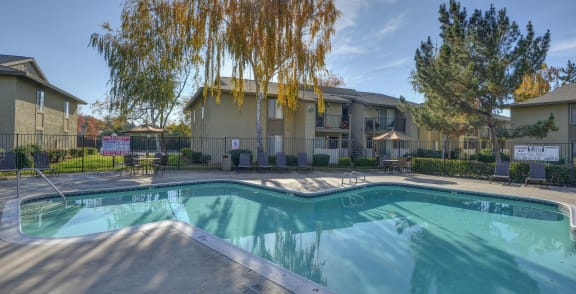 Swimming Pool Lounge Area with Trees, Lounge Chairs, and Apartment Exteriors
