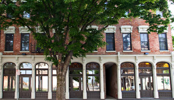 A tree in front of a red brick building with arched windows.