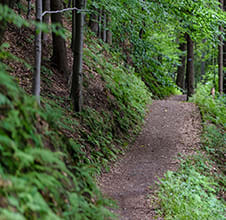 Trail at Woodlands at Abington Station, Abington, MA, 02351