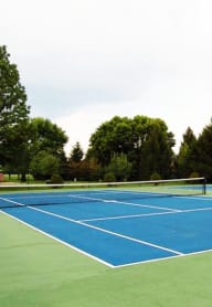 a blue and green tennis court with trees in the background