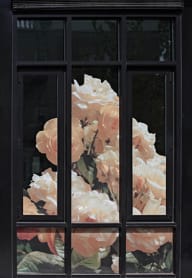 Window Graphic