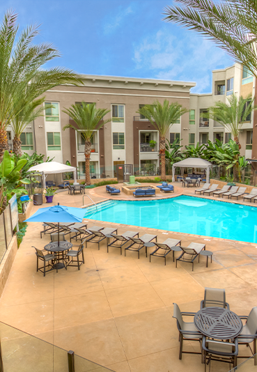 Resort Style Pool at Accent Apartments, California, 90066
