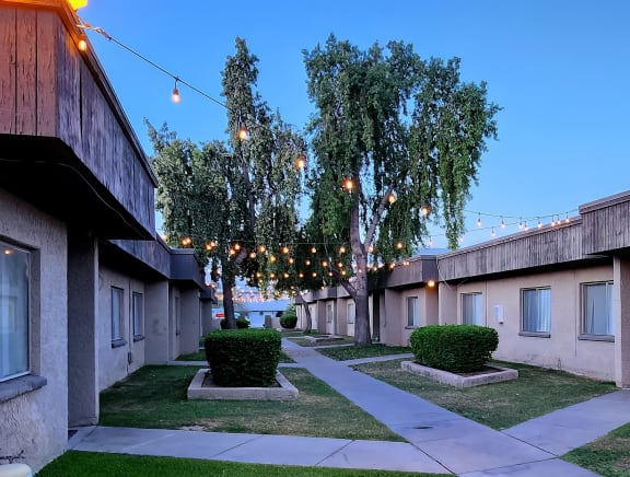 a tree in a courtyard