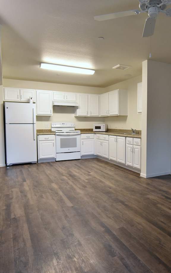 One-Bedroom Living Room and Kitchen