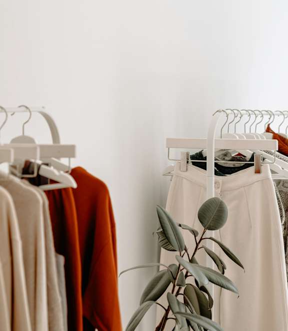 Clothes hanging on a rack with a plant in front.